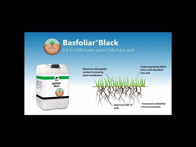 Compo Expert Basfoliar Black