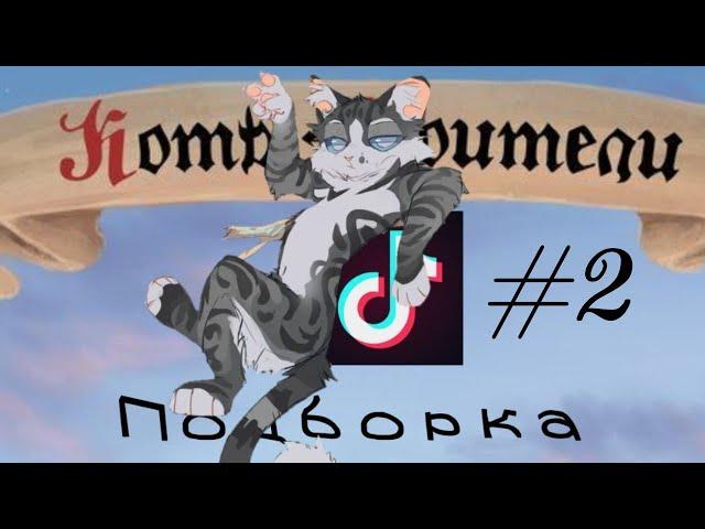 Коты воители тик ток/подборка видео из тик тока/лучшие видео #2