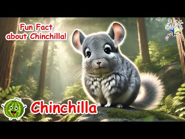 The Animal Sounds Song || Chinchilla || Kids Nursery Rhymes | Best Learning Song For Kid |  EduFam ~