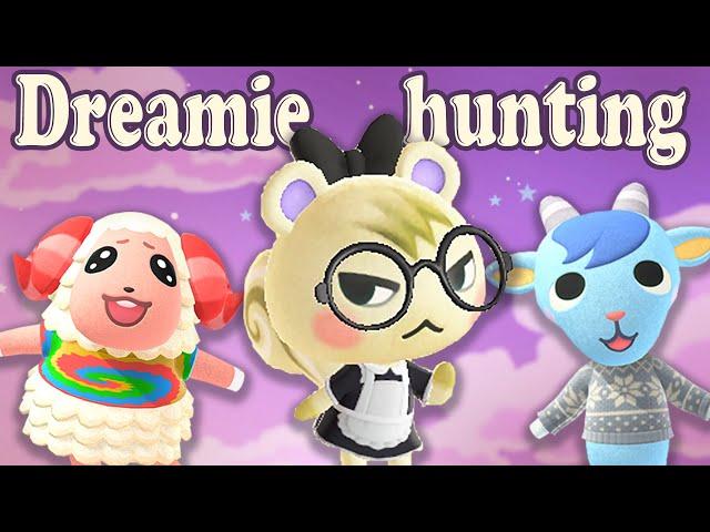 200x NMT Dreamie hunt Challenge