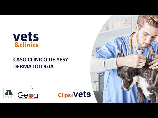 44. Clips4Vets: Caso clínico Yesy. Dermatología (Alicia Sánchez-Hermosillo)