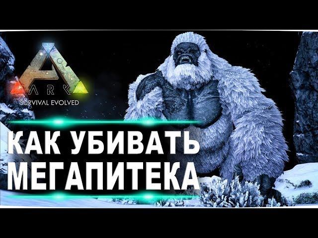 Босс мегапитек в АРК. Гайд по соло убийству босса гамма, бетта и альфа мегапитека в ARK