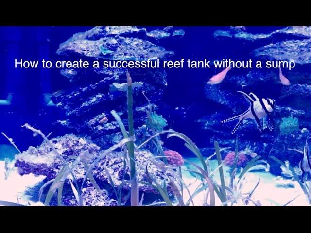 How to Setup a Reef Aquarium without a Sump - A Sumpless Coral Reef Aquarium