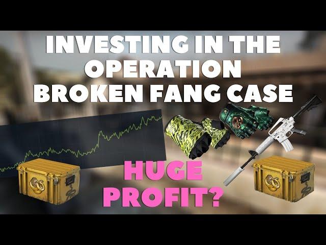 Is The OPERATION BROKEN FANG CASE A Good INVESTMENT? | How To INVEST