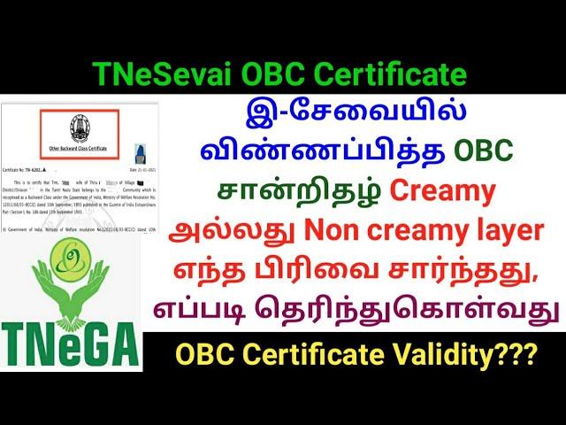 How to know TNeSevai OBC certificate is Creamy layer or Non creamy layer | Gen Infopedia