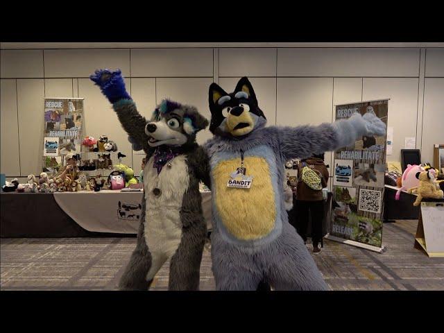 Anthro Northwest 6 (2024) - Bandit Heeler from "Bluey" Wandering the Convention Floors