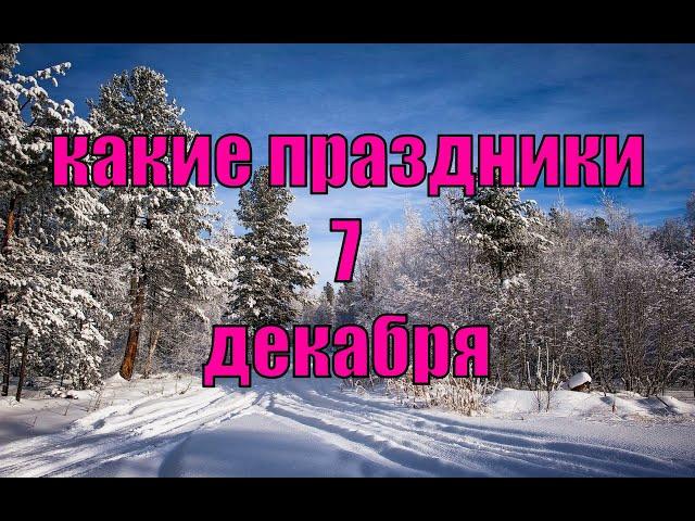 какой сегодня праздник? \ 7 декабря \ праздник каждый день \ праздник к нам приходит \ есть повод