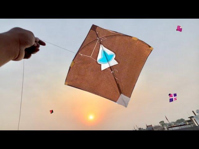 Kite Looting  | Kite Looting Ki Video | Kite Catching