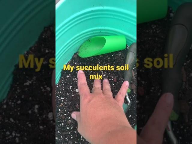 Succulents soil mix #soil #garden #succulentssoilmix
