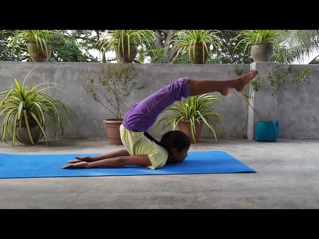 Poorna Shalabhasana#yoga #youtubeshorts #shortvideo #viral