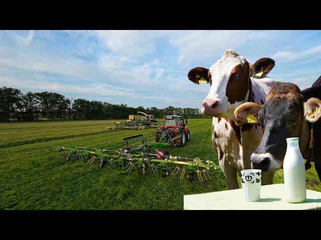 Tag der Milch 2024 | Vom Gras ins Glas in 60 Sekunden! 