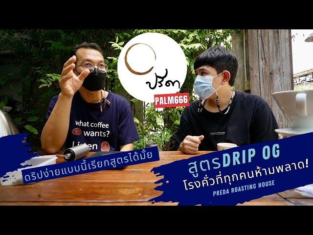 Palm666 - ดริป OG ของพี่กี้ สไตล์โรงคั่วกาแฟปรีดา | Preda Roasting House