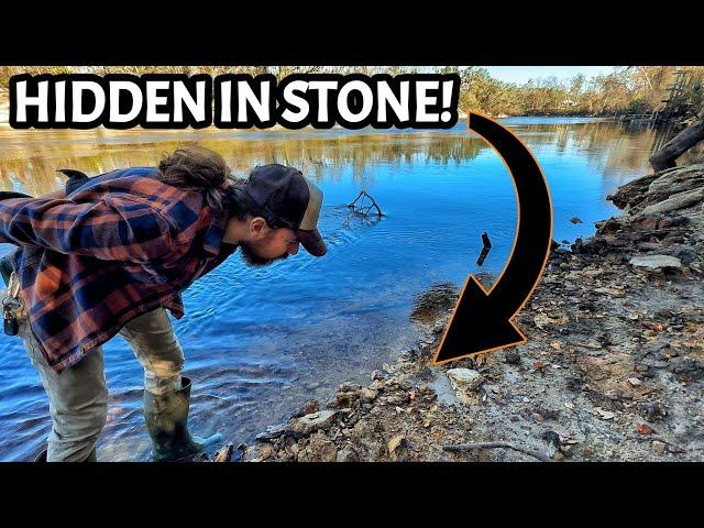 Receding Floodwaters Exposed The Ancient Ocean Floor on this Florida River - Fossils EVERYWHERE!