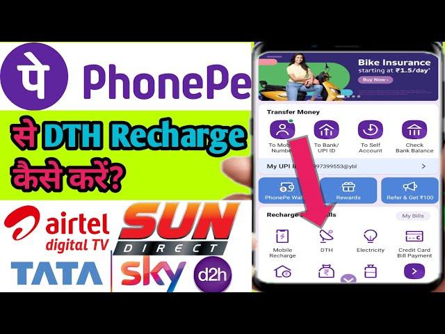 How To DTH Recharge On PhonePe App | TV Recharge Phone Se Kaise Kare? | PhonePe DTH Offer 2024