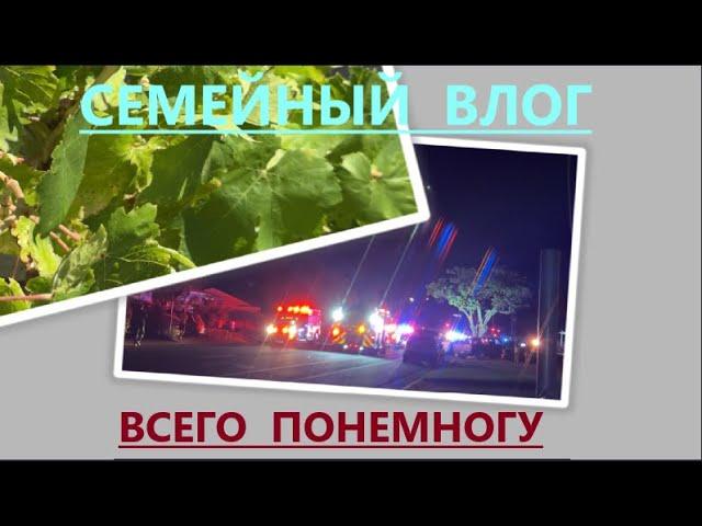 ВСЕГО ПО ЧУТЬ-ЧУТЬ: САД-ОГОРОД И ДРУГОЕ//ПРИЯТНОГО ПРОСМОТРА