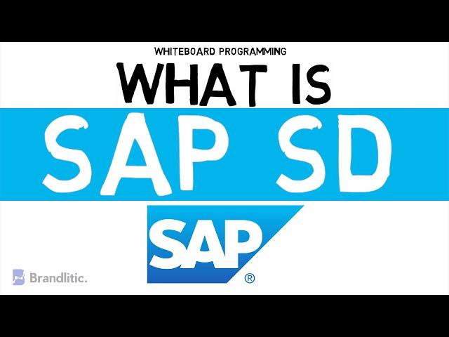 What is SAP SD Explained | Introduction to SAP SD Basics