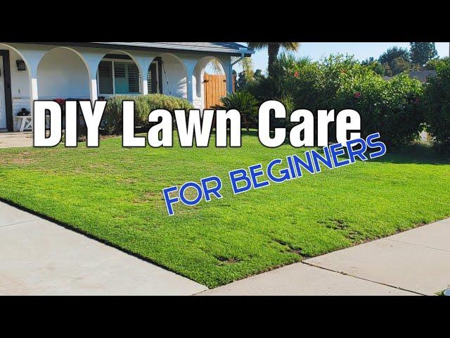 8 Beginner Friendly Lawn Care Tips For Any Lawn