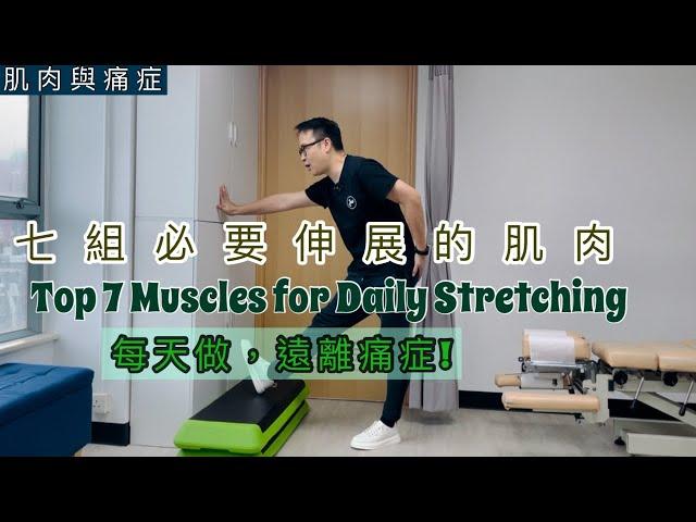 七組必做伸展的肌肉! 每天伸展減少痛症!［Eng Subtitles] The Top 7 Muscles for stretching