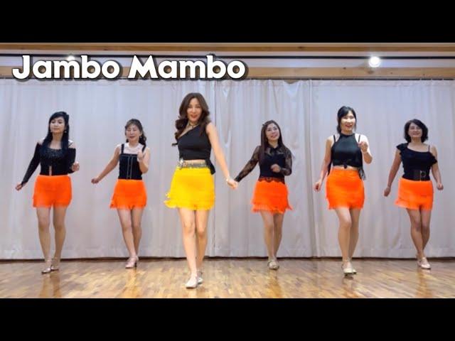 Jambo Mambo Linedance/ Beginner/ 잠보 맘보 라인댄스