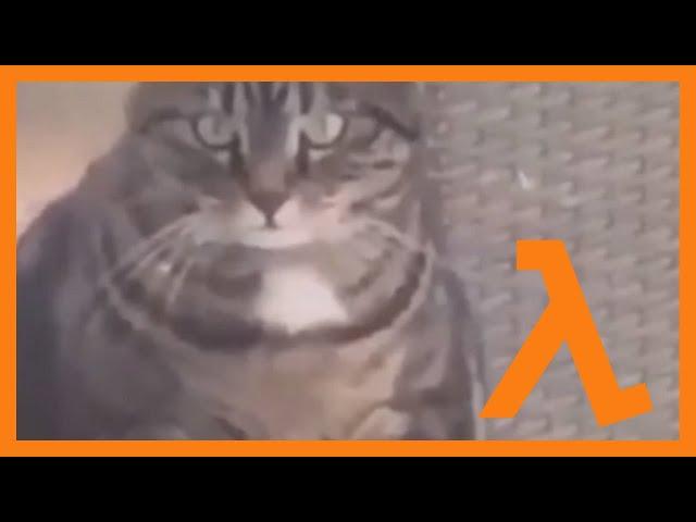 Fat Cat rolls over a bird but it has Half-Life sound effects