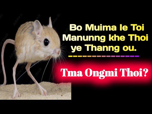 Toi Manunng khe Thoinaima Muima rao no Siye Tong laina || Phrung Kaham