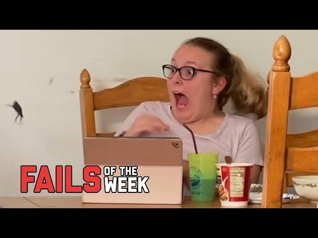 Don’t Freak Out! Fails of the Week | FailArmy