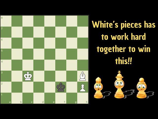 Winning here as white is harder than it looks!