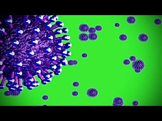 Corona Virus covid-19 Green screen Animated Video , No Copyright