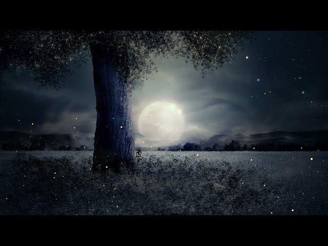 Windy Hill 10 Hours Relaxing Sleep Music Piano and Crickets at Night