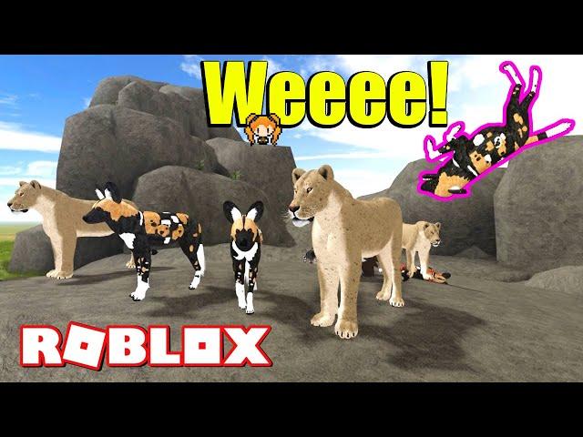 ROBLOX WILD SAVANNAH TESTING A FLYING AFRICAN WILD DOG!!! Funny Show for the Lions