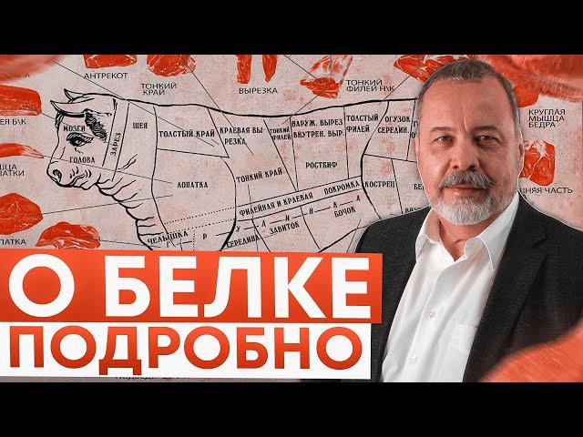 АЛЕКСЕЙ КОВАЛЬКОВ ПОДРОБНО О БЕЛКЕ / ГЛАВНОЕ О БЕЛКЕ / СУТОЧНАЯ НОРМА БЕЛКА /ЖИВОТНЫЙ БЕЛОК