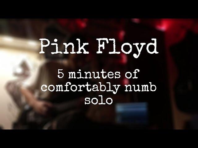 Pink Floyd - 5 minutes of Comfortably Numb solo