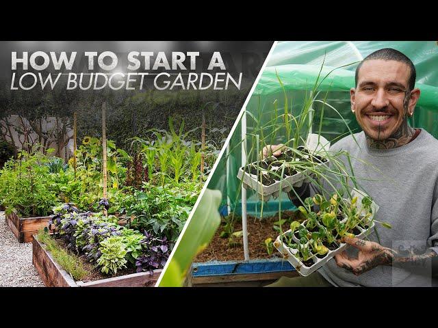 How to Start a Low Budget Garden