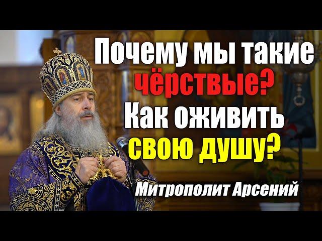 Почему мы такие чёрствые, как оживить душу? — слово митр. Арсения в Неделю Крестопоклонную 27.3.22 г