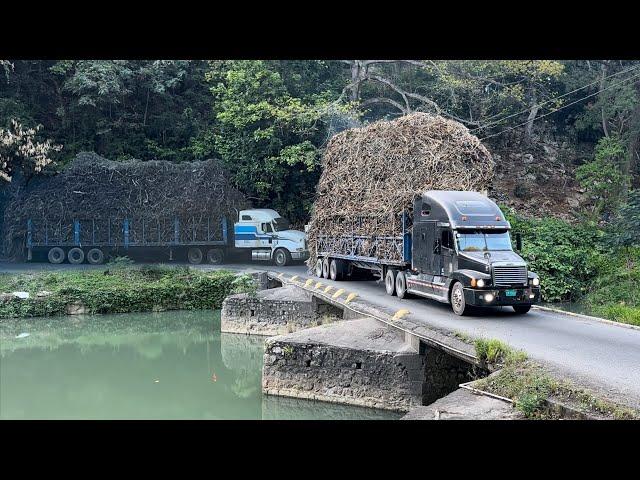 The most dangerous Bridge in Jamaica Flat Bridge \ S2:E2