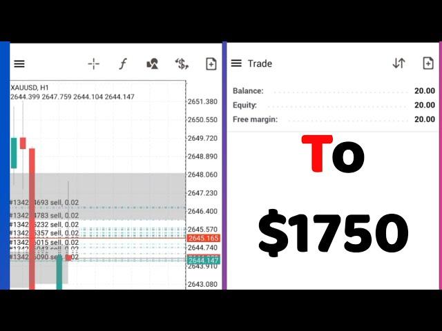 $20 into $1600: My Step-by-Step XAUUSD Guide