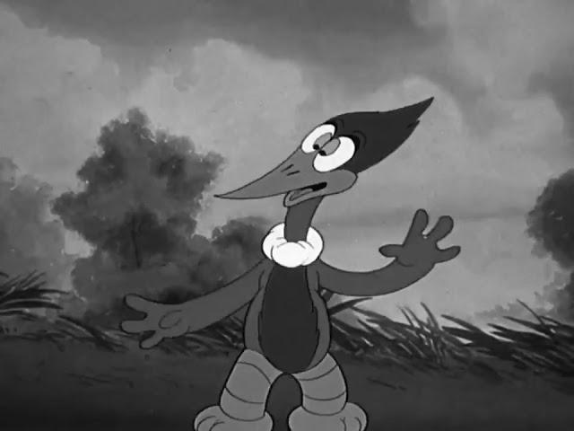 Woody Woodpecker / The Cracked Nut (1941/1940's-50's) - [16mm Sound Reconstruction] B&W version