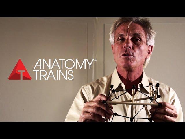 ANATOMY TRAINS - Tom Myers Full Interview