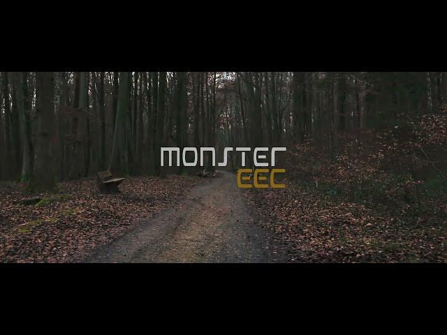 SXT Scooters - Monster EEC | Commercial | E-Scooter