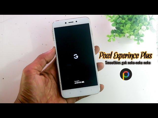 Pixel Experience Plus Android 12 .1 Terbaru Xiaomi Redmi 4X Edisi Ringan I Review