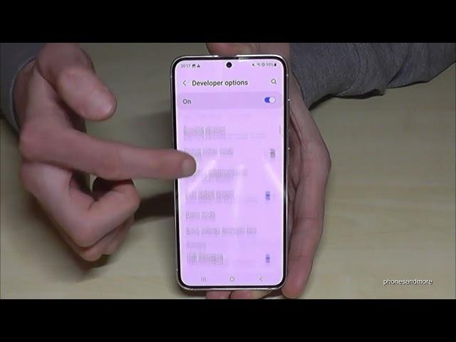 Samsung Galaxy S23: How to enable the Developer Options? for USB Debugging etc.