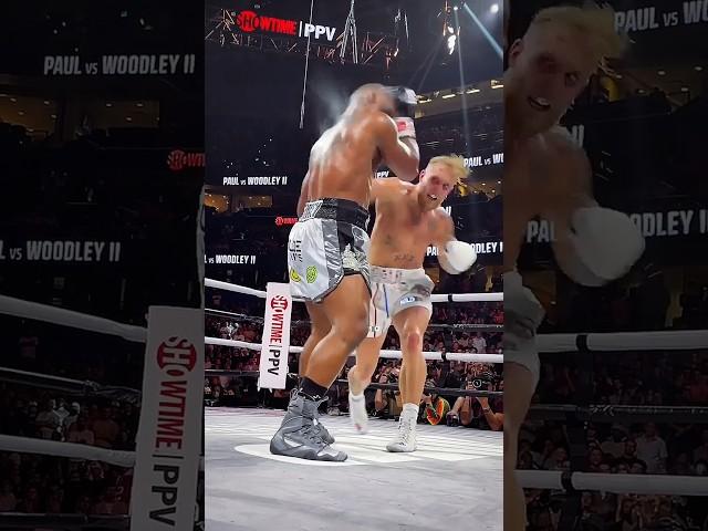 Jake Paul knocked out Mike Tyson  #shorts #jakepaul #miketyson