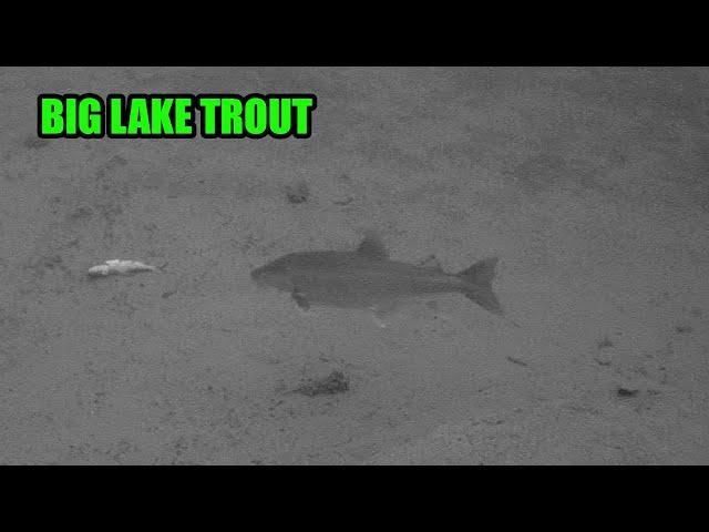 Ice Fishing for Big Lake Trout in Northern Manitoba | Clearwater Lake!