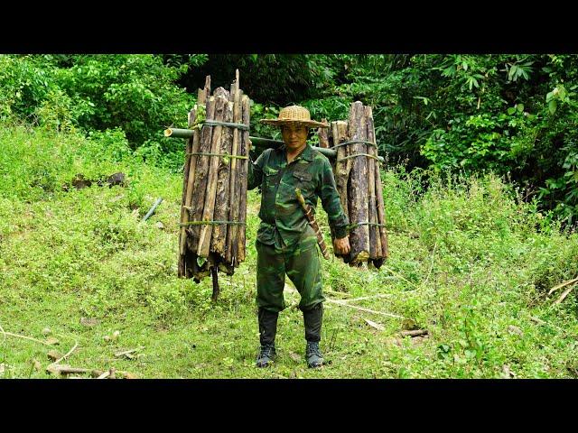 Heavy Rain on the River, Collect Firewood, Stream Fishing, River Survival | EP.374