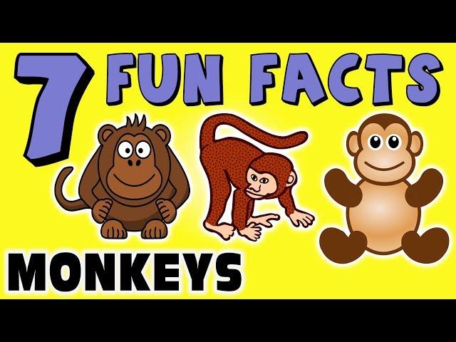 7 FUN FACTS ABOUT MONKEYS! MONKEY FACTS FOR KIDS! Learning Colors! Gorillas! Funny! Sock Puppet!