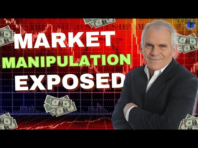 Misleading Market Rallies and Future Predictions!