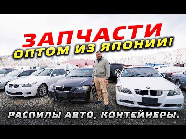 BMW, MERC, AUDI из Японии. Автозапчасти оптом. Распилы авто, контейнеры.  Легковые и грузовые.