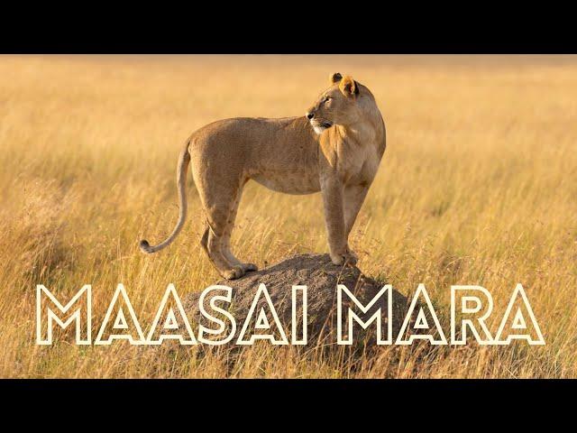 My first visit to the MAASAI MARA | A short film by The Safari Expert