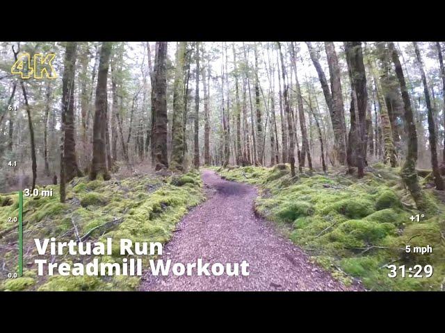 Virtual Run | Virtual Running Videos Treadmill Workout Scenery | Kepler Track Forest 1 Hour