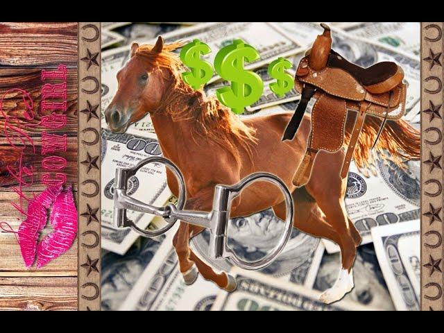 How To Make Money TRAINING HORSES!